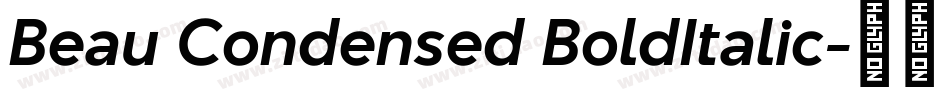 Beau Condensed BoldItalic字体转换